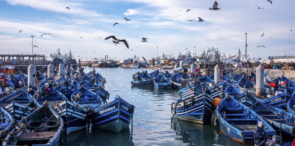 8 Days, 7 Nights Tour (Agadir circuit)